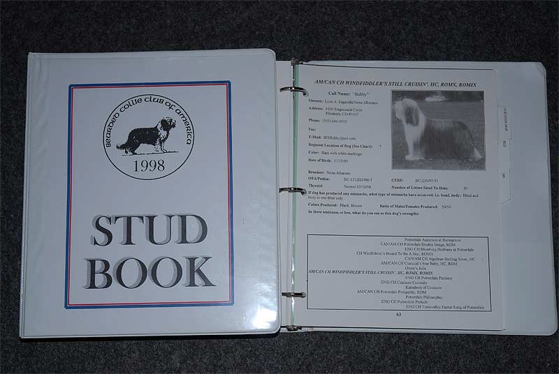 studdogbook-01