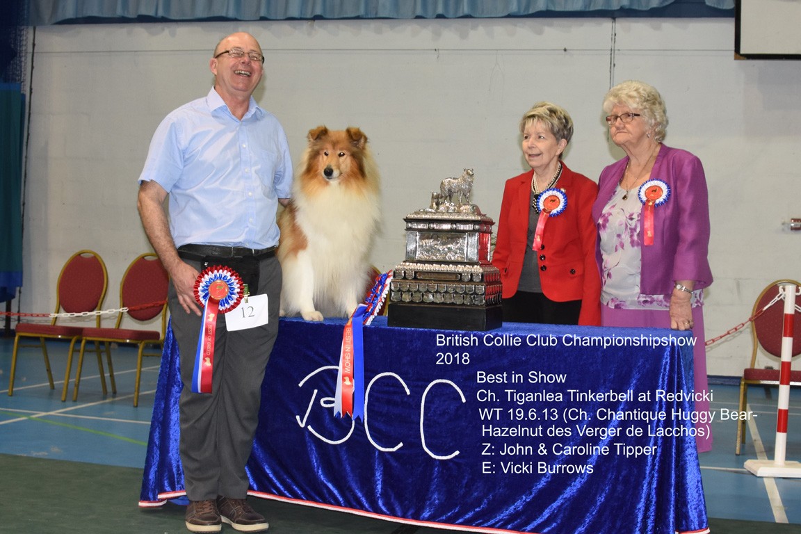 01_BCC Best in Show (23)