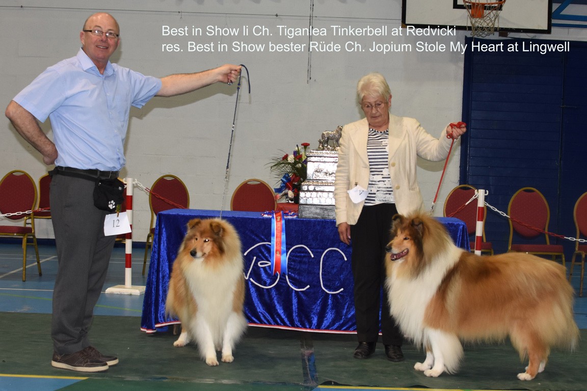 02_BCC Best in Show (3)