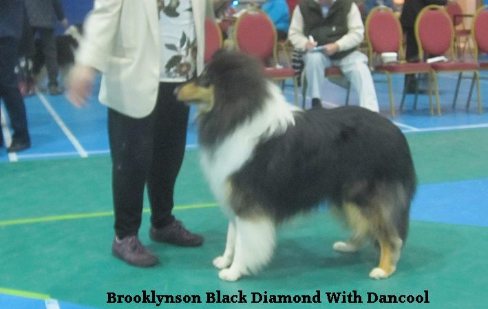 Brooklynson Black Diamond With Dancol