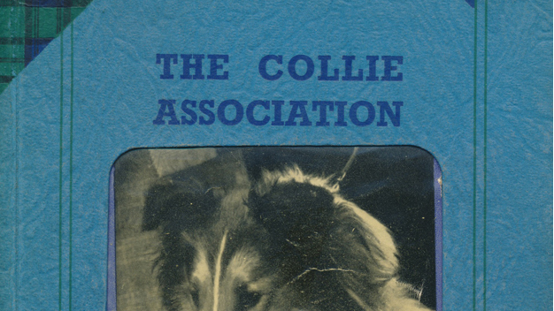 CollieAssociaton1953-Kopie