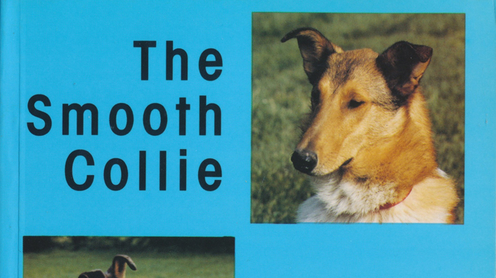 TheSmoothCollie-Kopie_lang