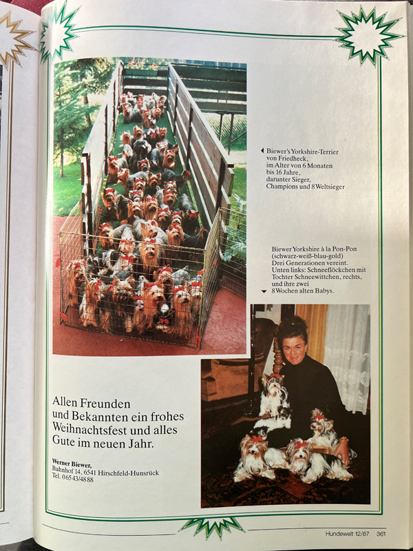 Weihnachtsgruß in der Dezemberausgabe der HUNDEWELT 1987
